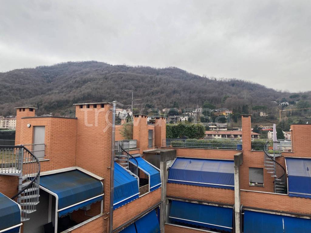 immagine annuncio 5 di 7