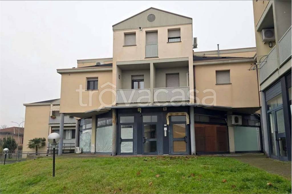 immagine annuncio 12 di 15