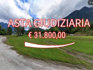 Terreno agricolo all'asta a lozzo di cadore localita' val sant'anna