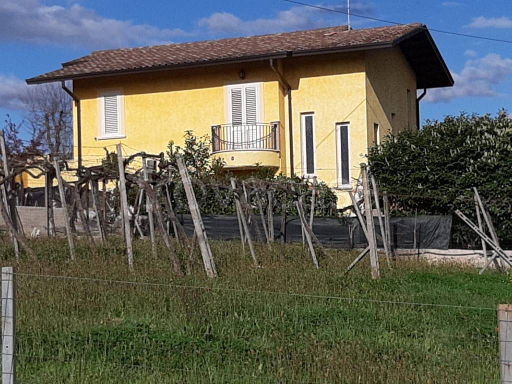 immagine annuncio 1 di 12