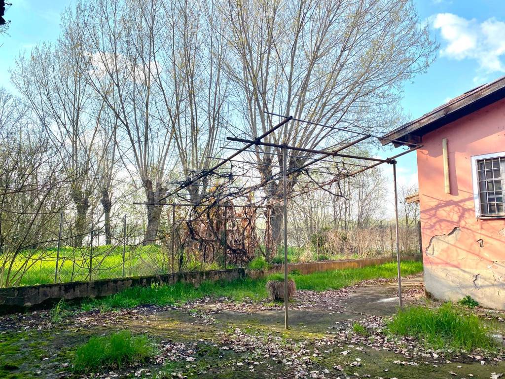 immagine annuncio 5 di 15