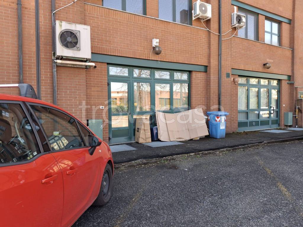 immagine annuncio 3 di 12