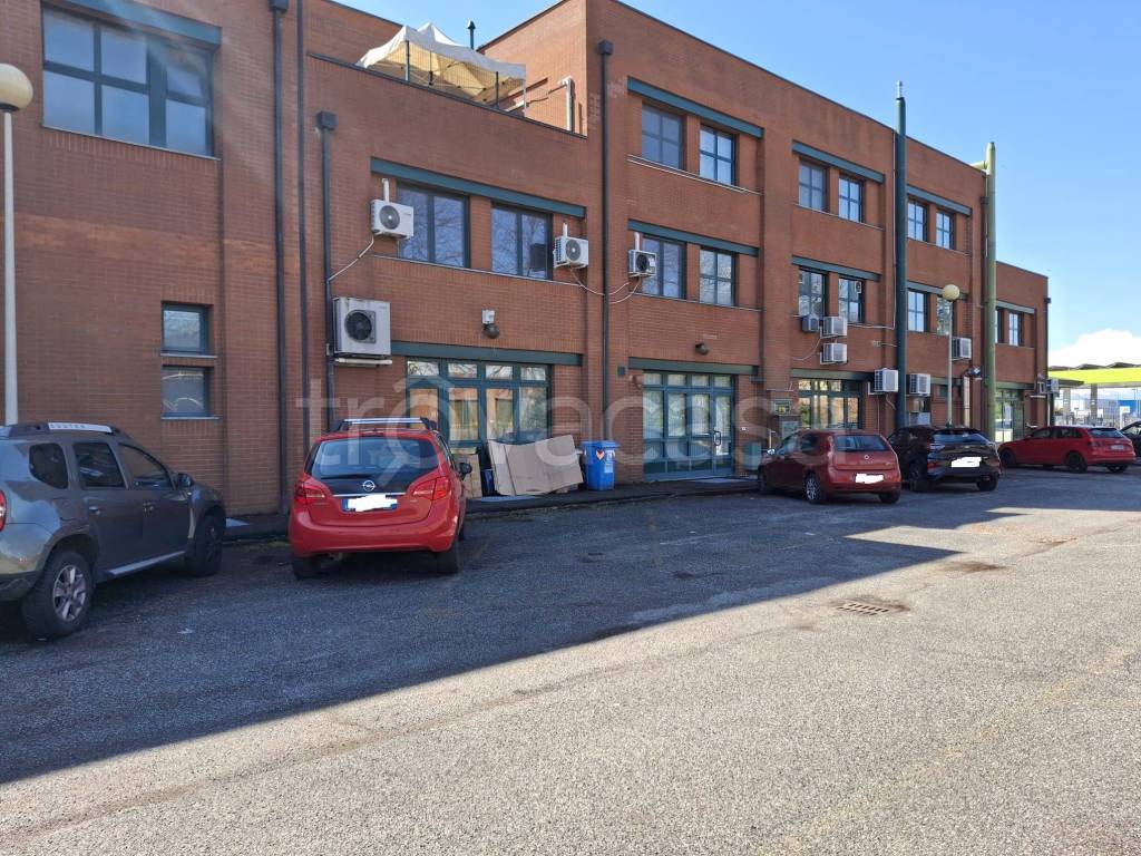 immagine annuncio 4 di 12