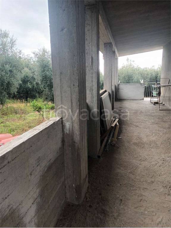 immagine annuncio 4 di 11