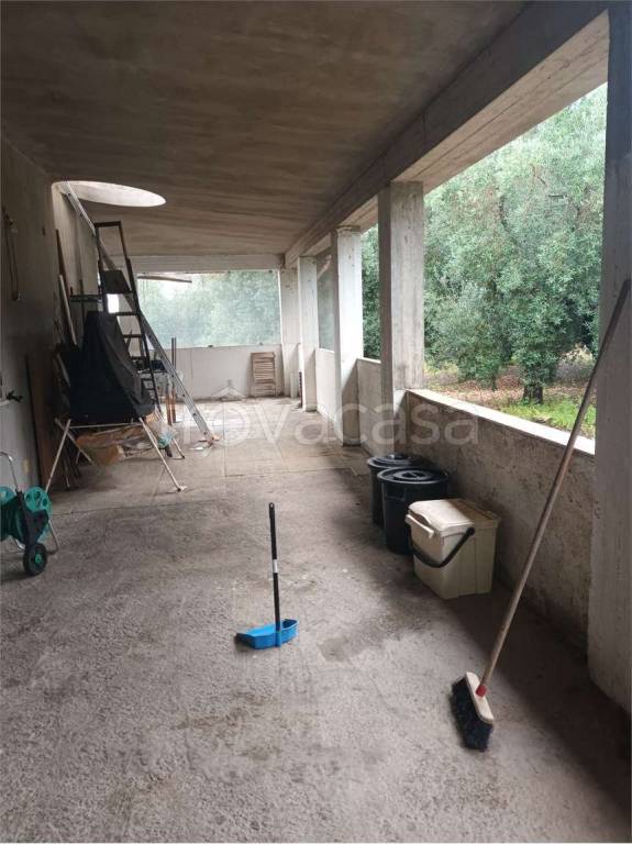 immagine annuncio 5 di 11