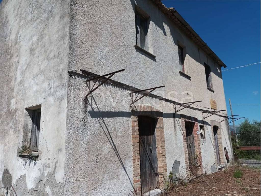 immagine annuncio 1 di 9