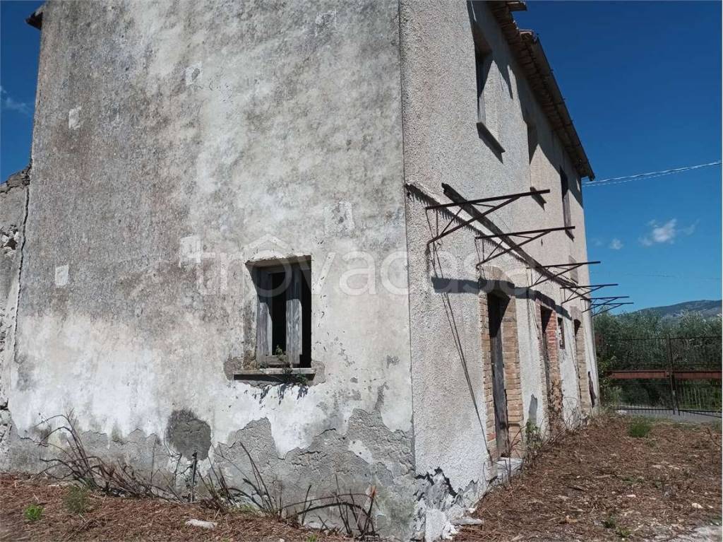 immagine annuncio 3 di 9