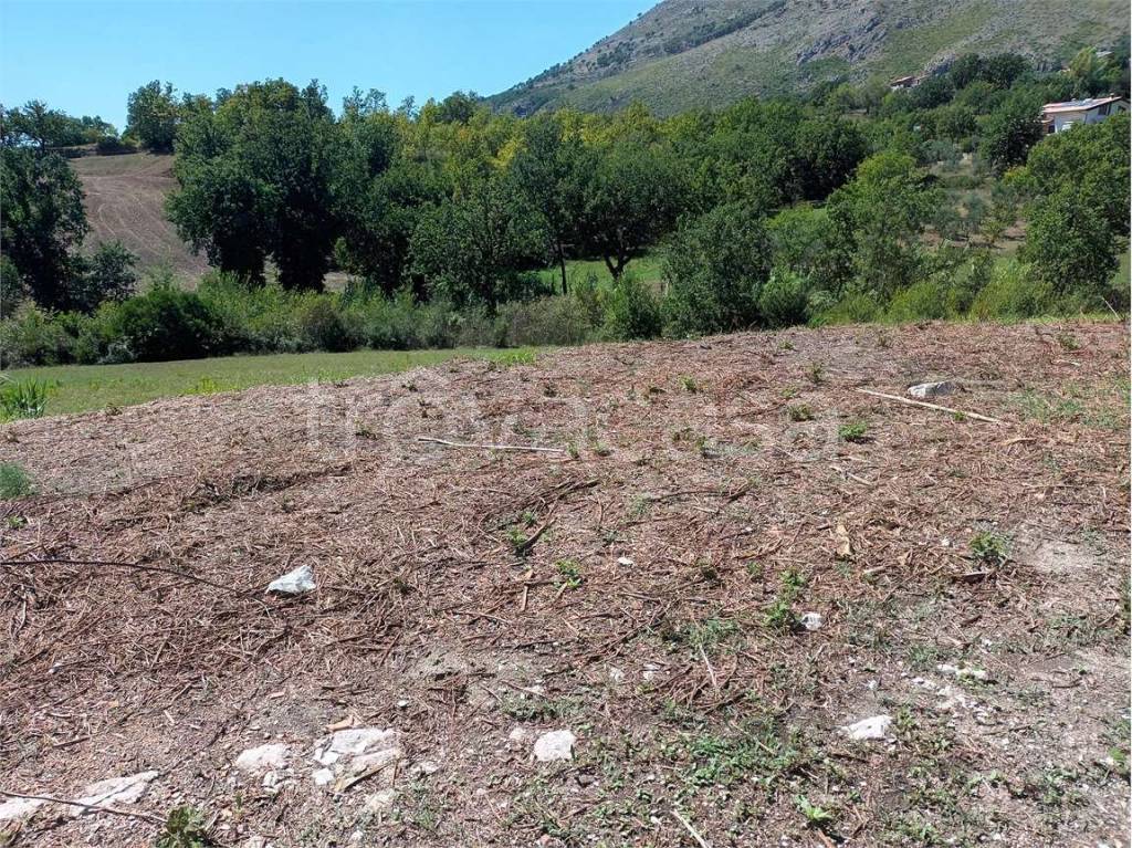 immagine annuncio 5 di 9