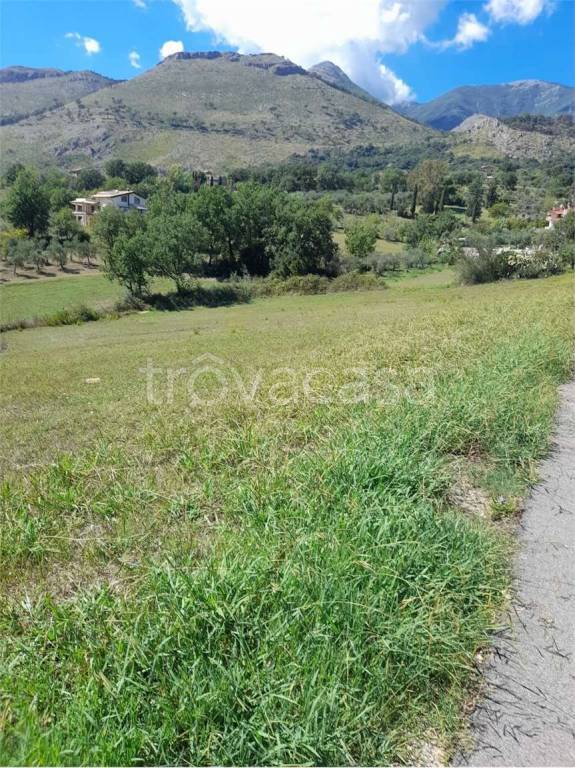 immagine annuncio 7 di 9