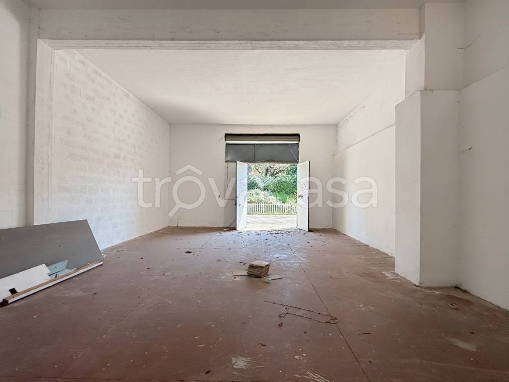 immagine annuncio 3 di 7