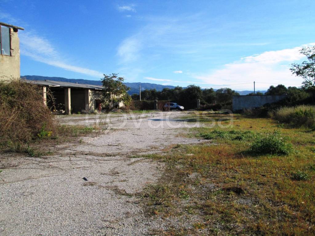 immagine annuncio 5 di 7