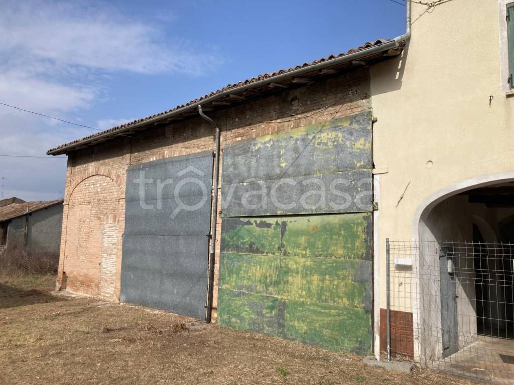 immagine annuncio 4 di 12