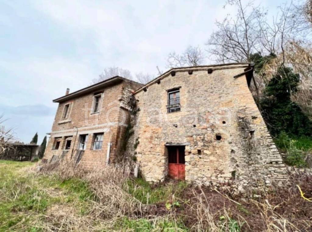 immagine annuncio 12 di 14
