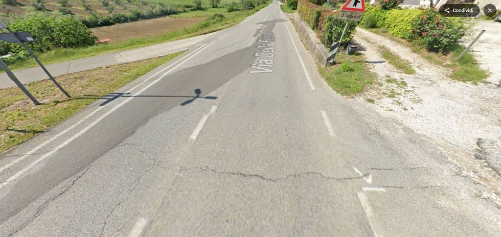 immagine annuncio 5 di 11