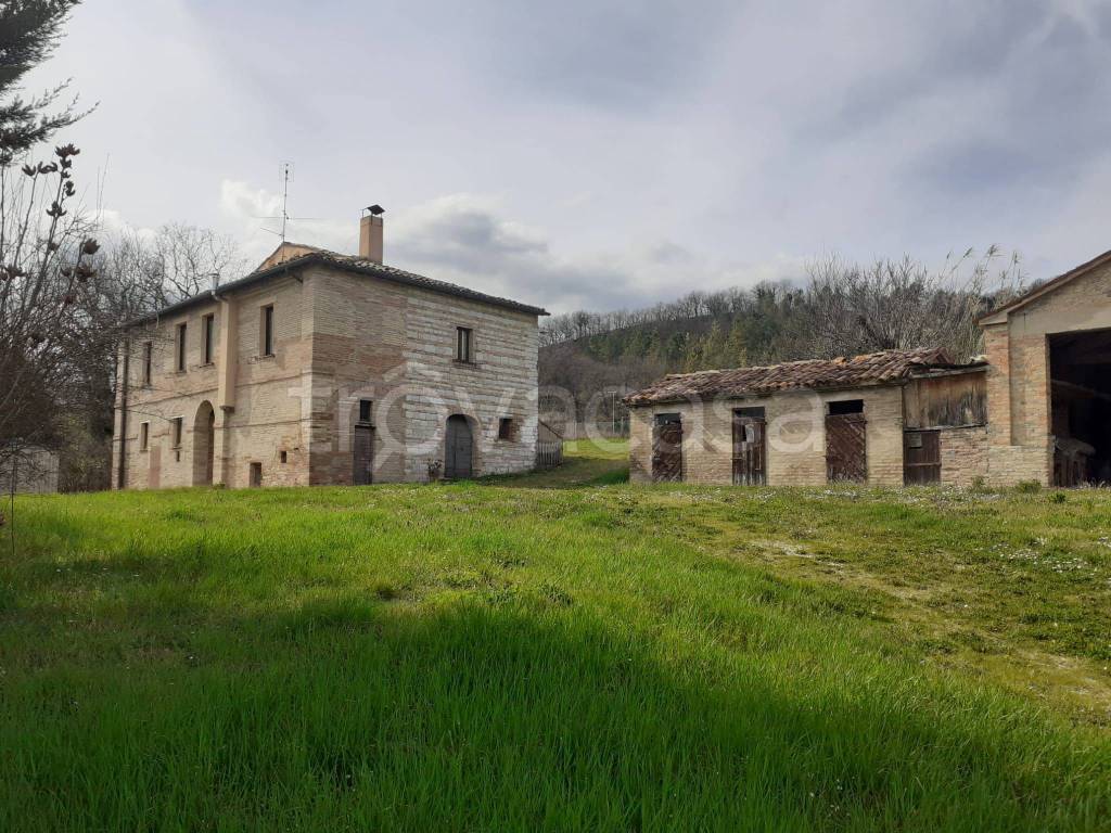 immagine annuncio 3 di 7