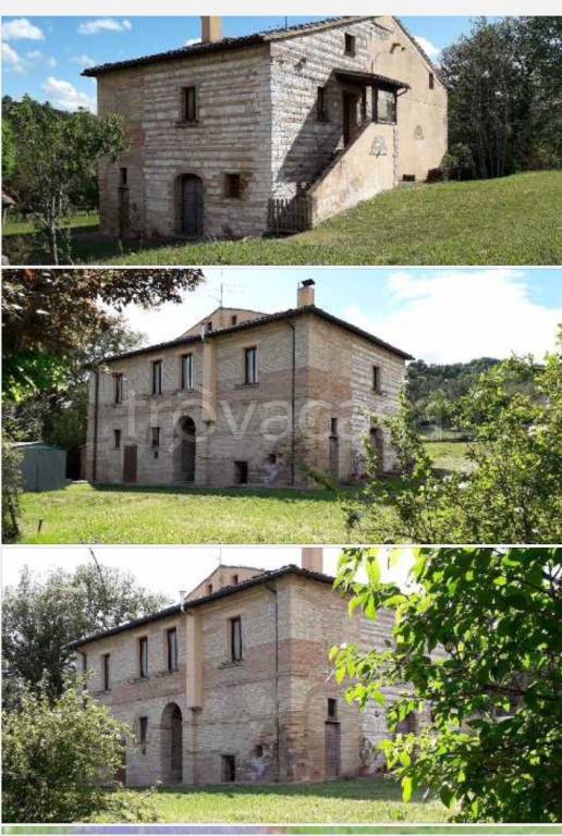 immagine annuncio 5 di 7