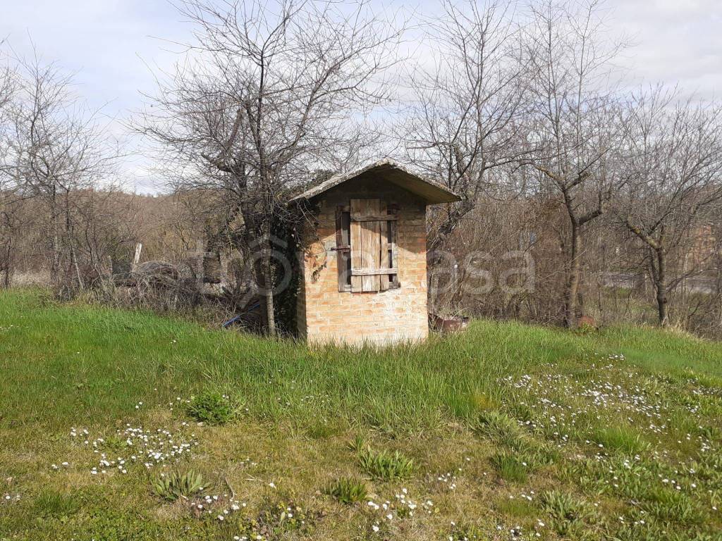 immagine annuncio 6 di 7