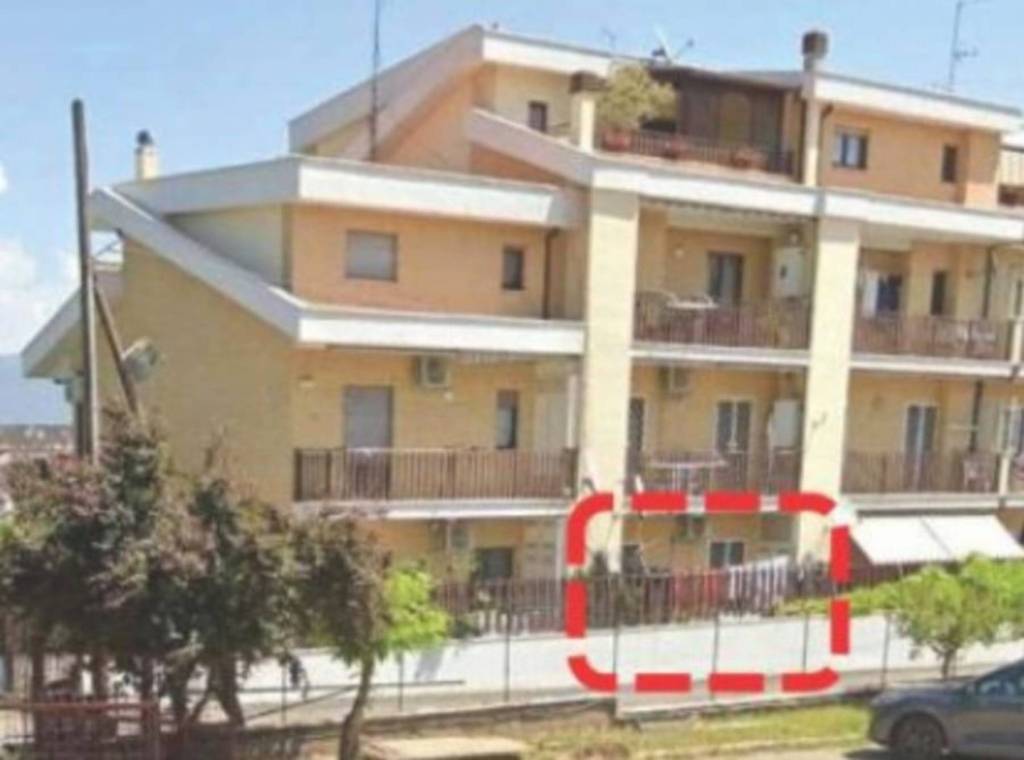 immagine annuncio 12 di 14