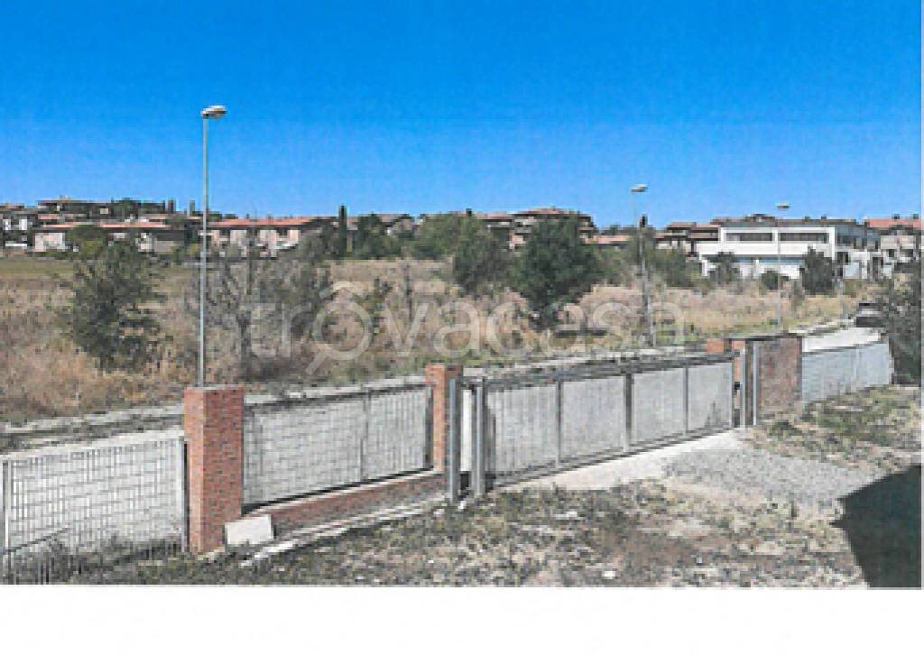 immagine annuncio 4 di 12