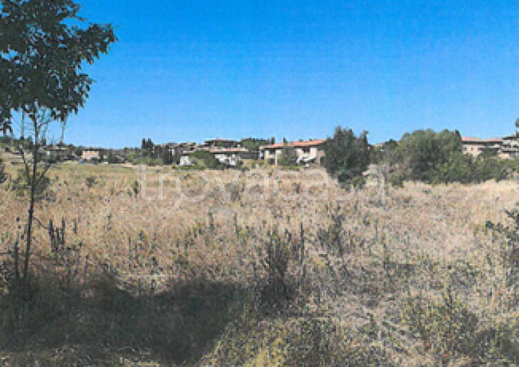 immagine annuncio 10 di 12