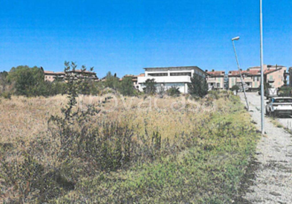 immagine annuncio 11 di 12