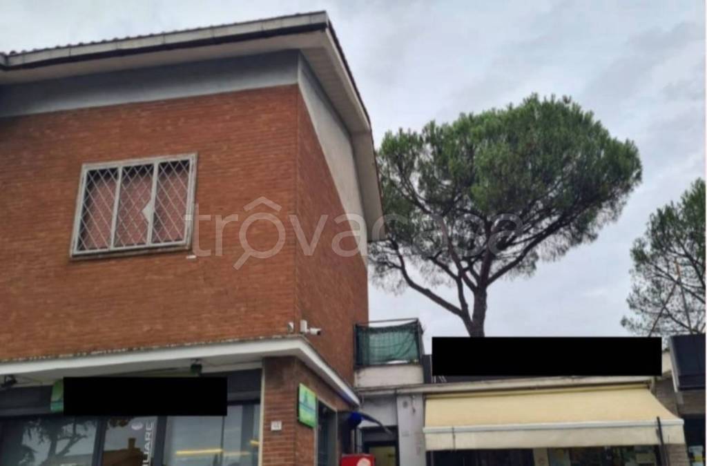immagine annuncio 9 di 14