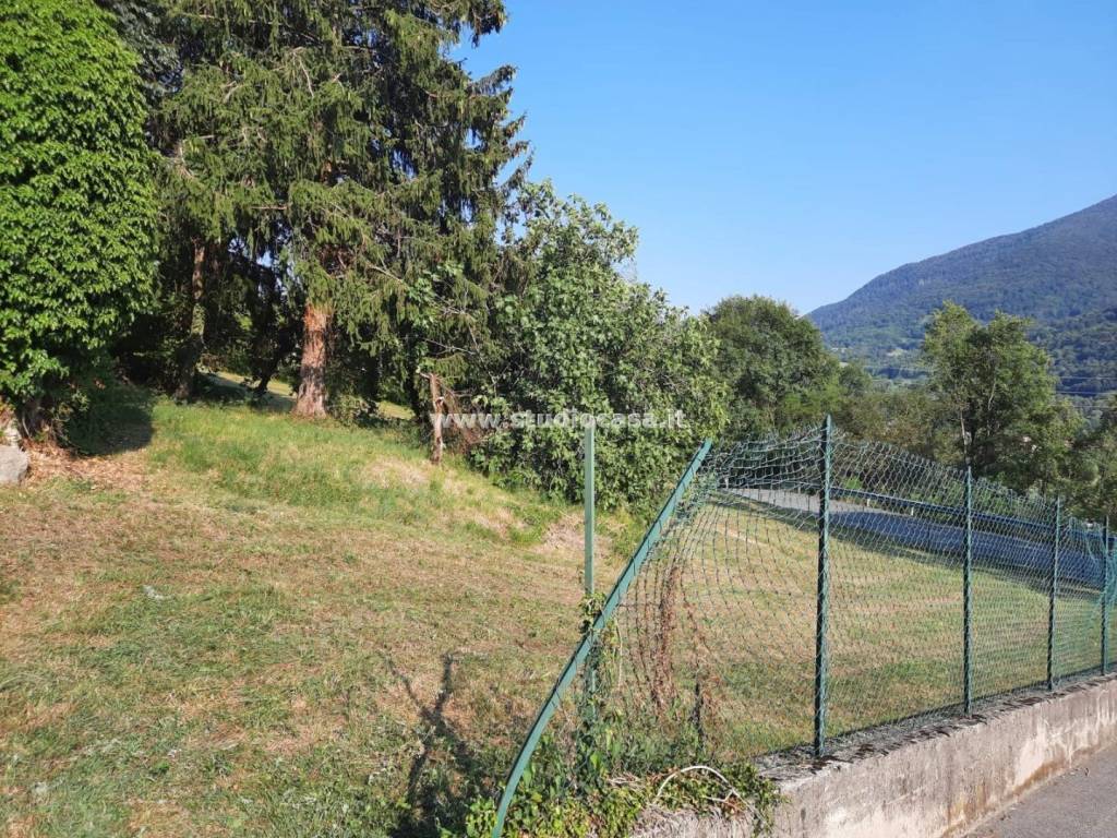 immagine annuncio 1 di 8