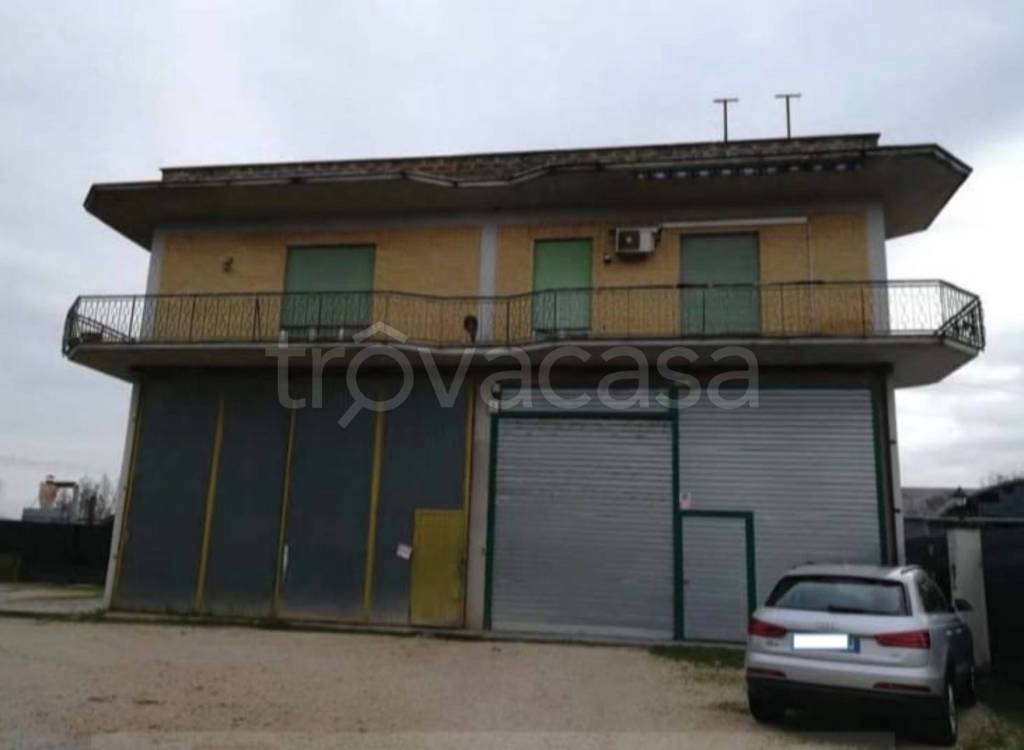 immagine annuncio 10 di 14