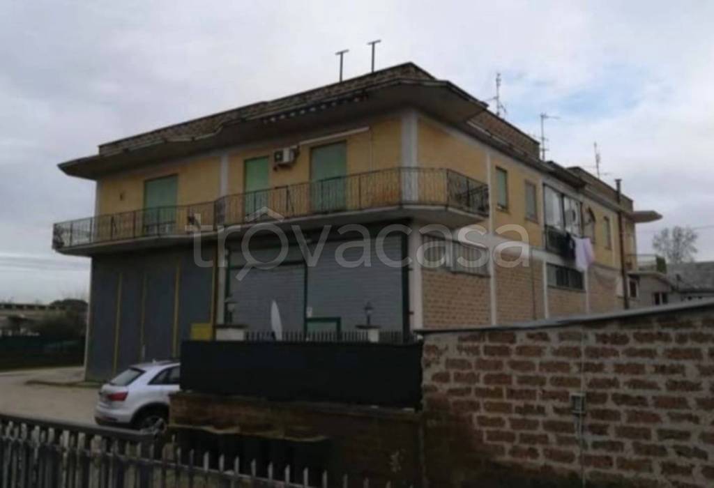 immagine annuncio 11 di 14