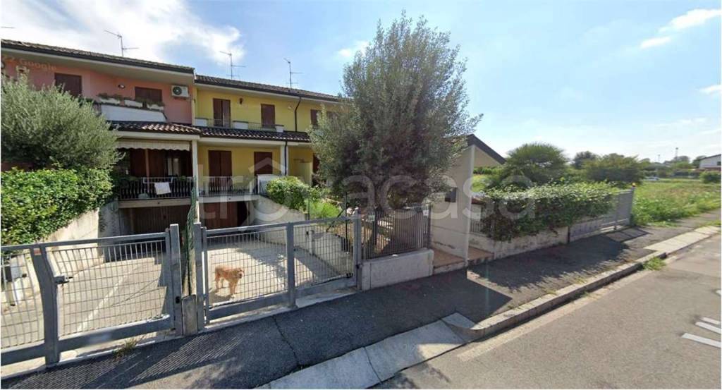 immagine annuncio 2 di 15