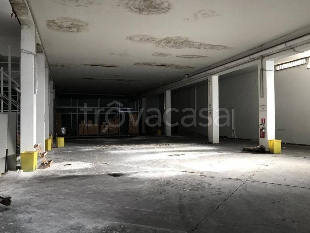 immagine annuncio 5 di 6