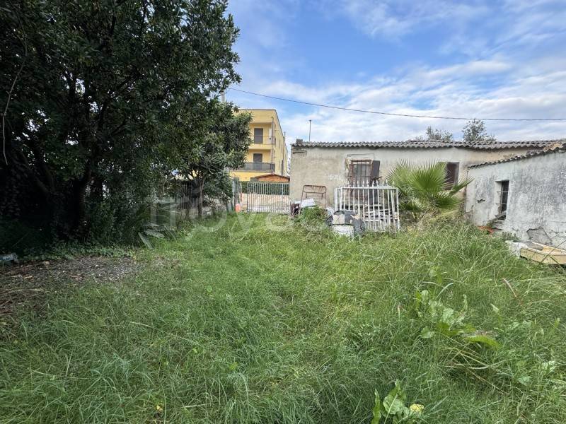 terreno agricolo in vendita a Lamezia Terme in zona Sant'Eufemia Lamezia