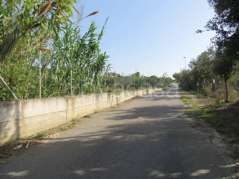immagine annuncio 3 di 8