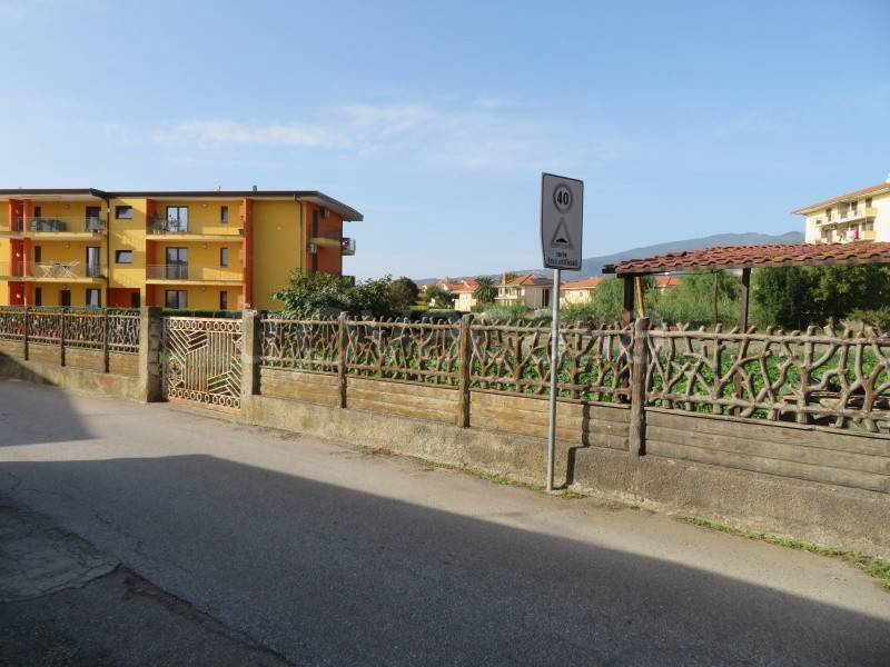 immagine annuncio 2 di 4
