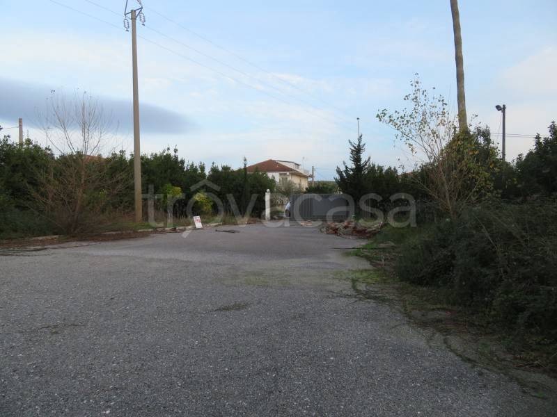 immagine annuncio 2 di 8