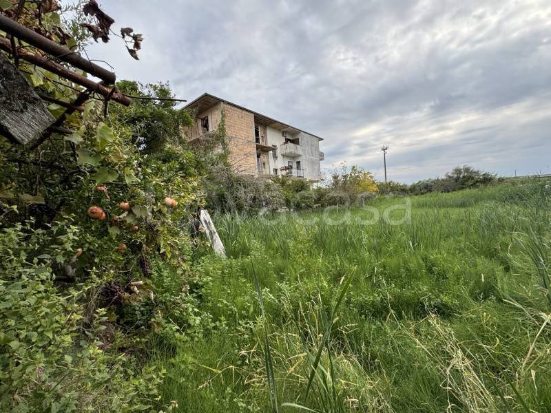 immagine annuncio 4 di 6