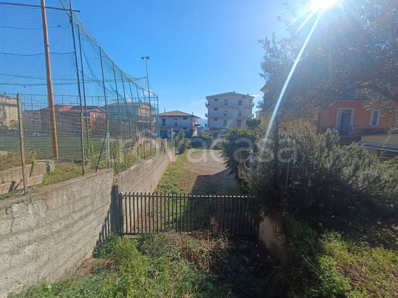 immagine annuncio 3 di 6