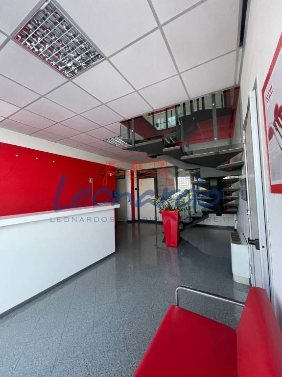 immagine annuncio 7 di 14