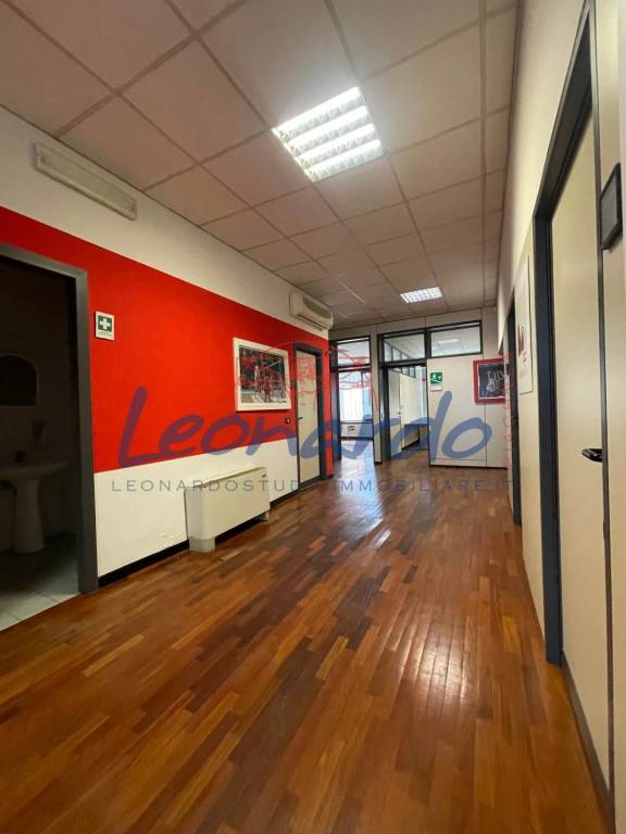 immagine annuncio 12 di 14