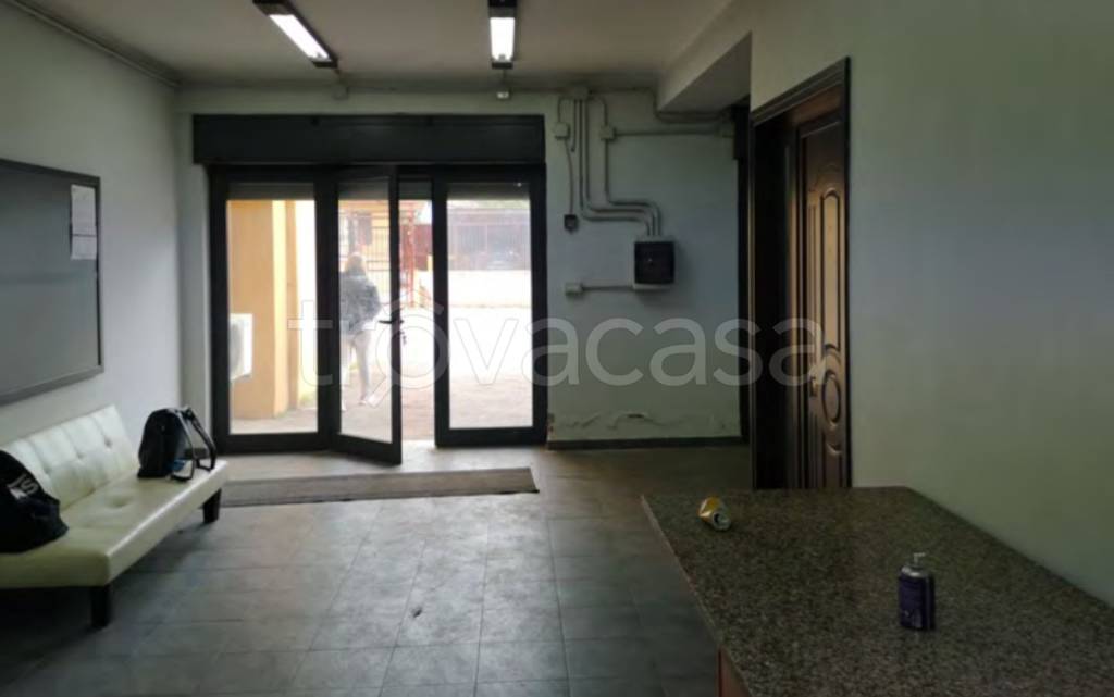 immagine annuncio 3 di 11