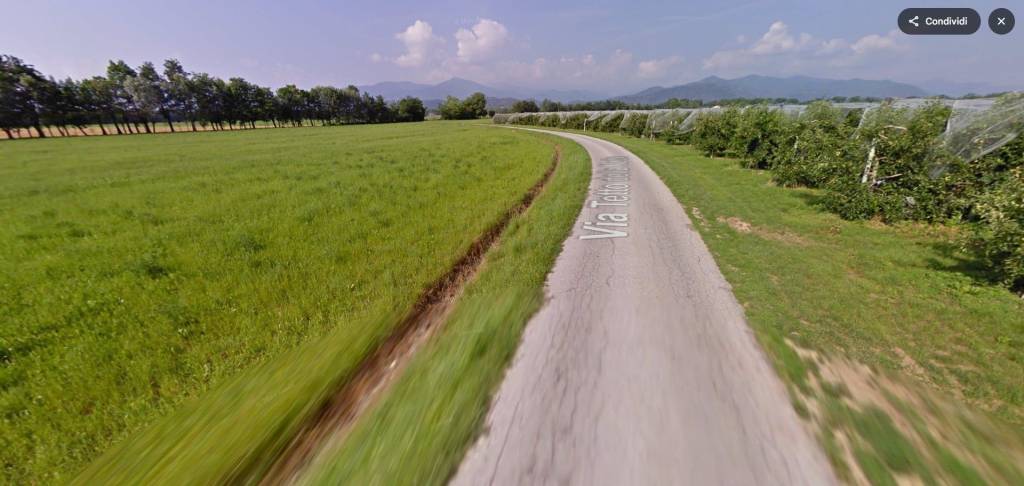 immagine annuncio 1 di 13