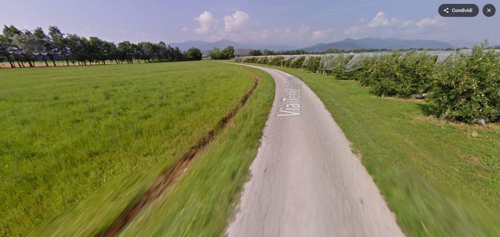 immagine annuncio 2 di 13