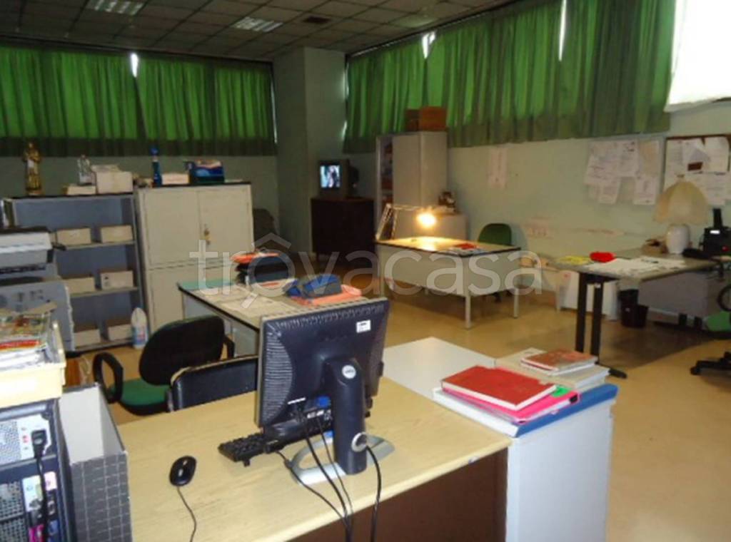 immagine annuncio 2 di 11