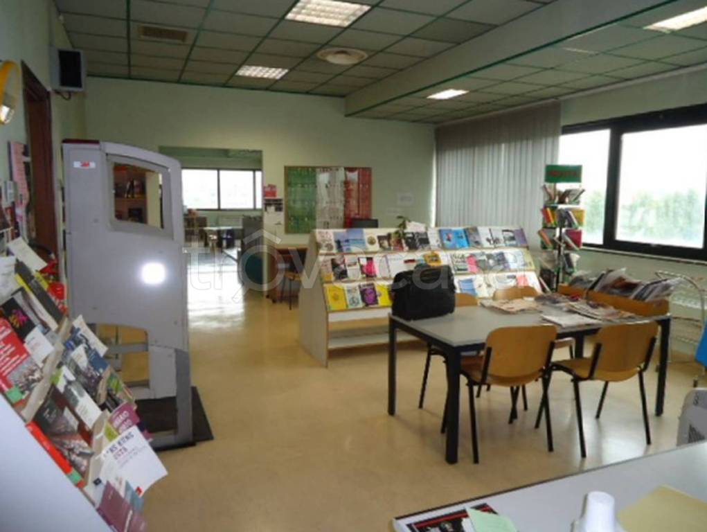 immagine annuncio 7 di 11