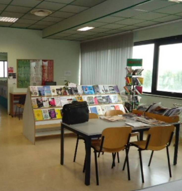 immagine annuncio 9 di 11