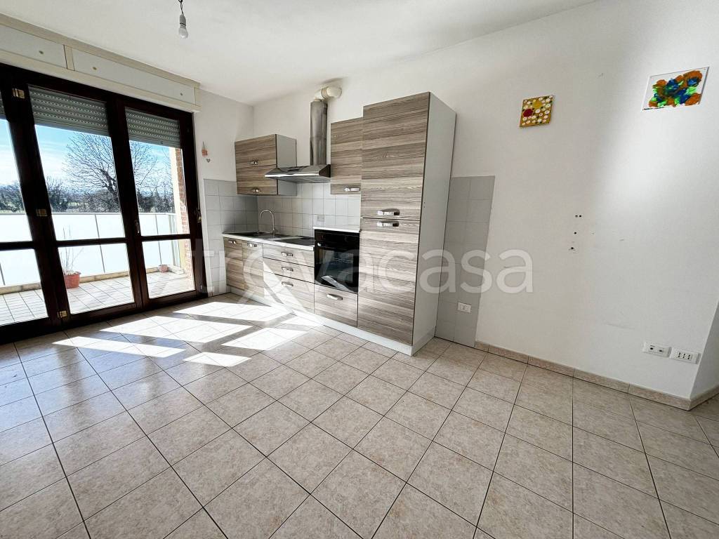 immagine annuncio 2 di 14