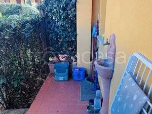immagine annuncio 2 di 12