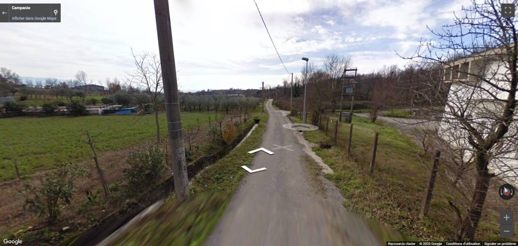 immagine annuncio 4 di 14