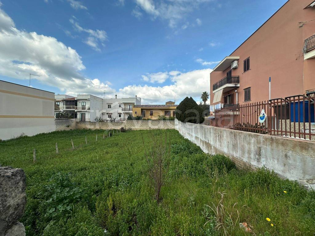 immagine annuncio 4 di 6