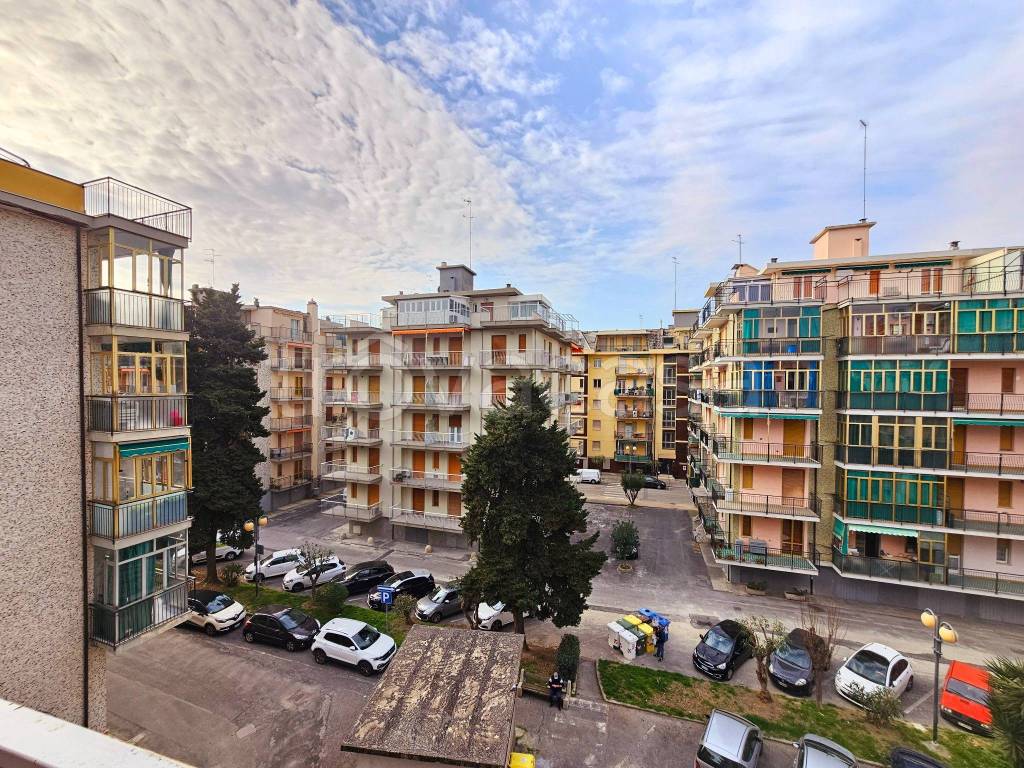 immagine annuncio 12 di 13